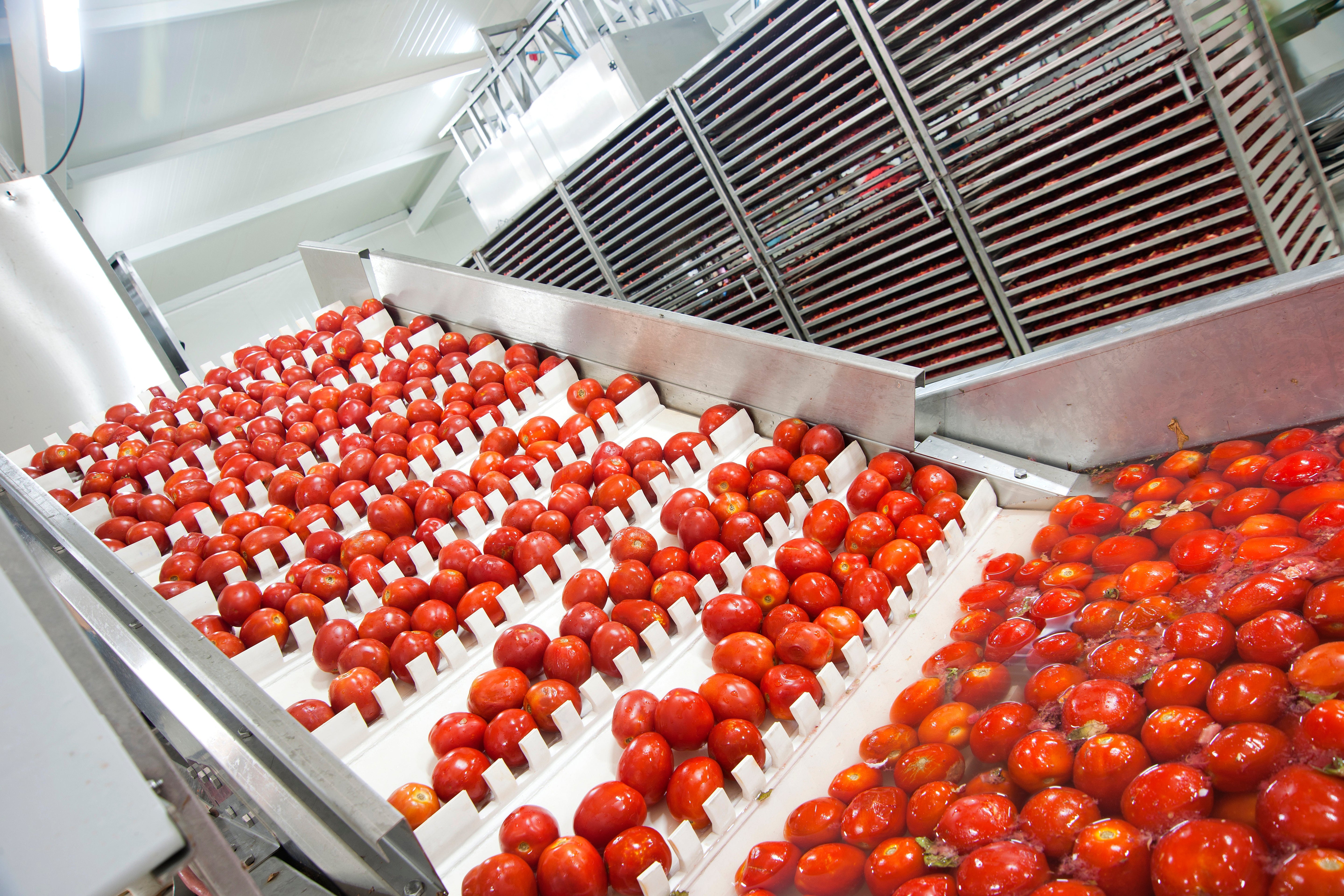 🥑 High-value crop deep processing