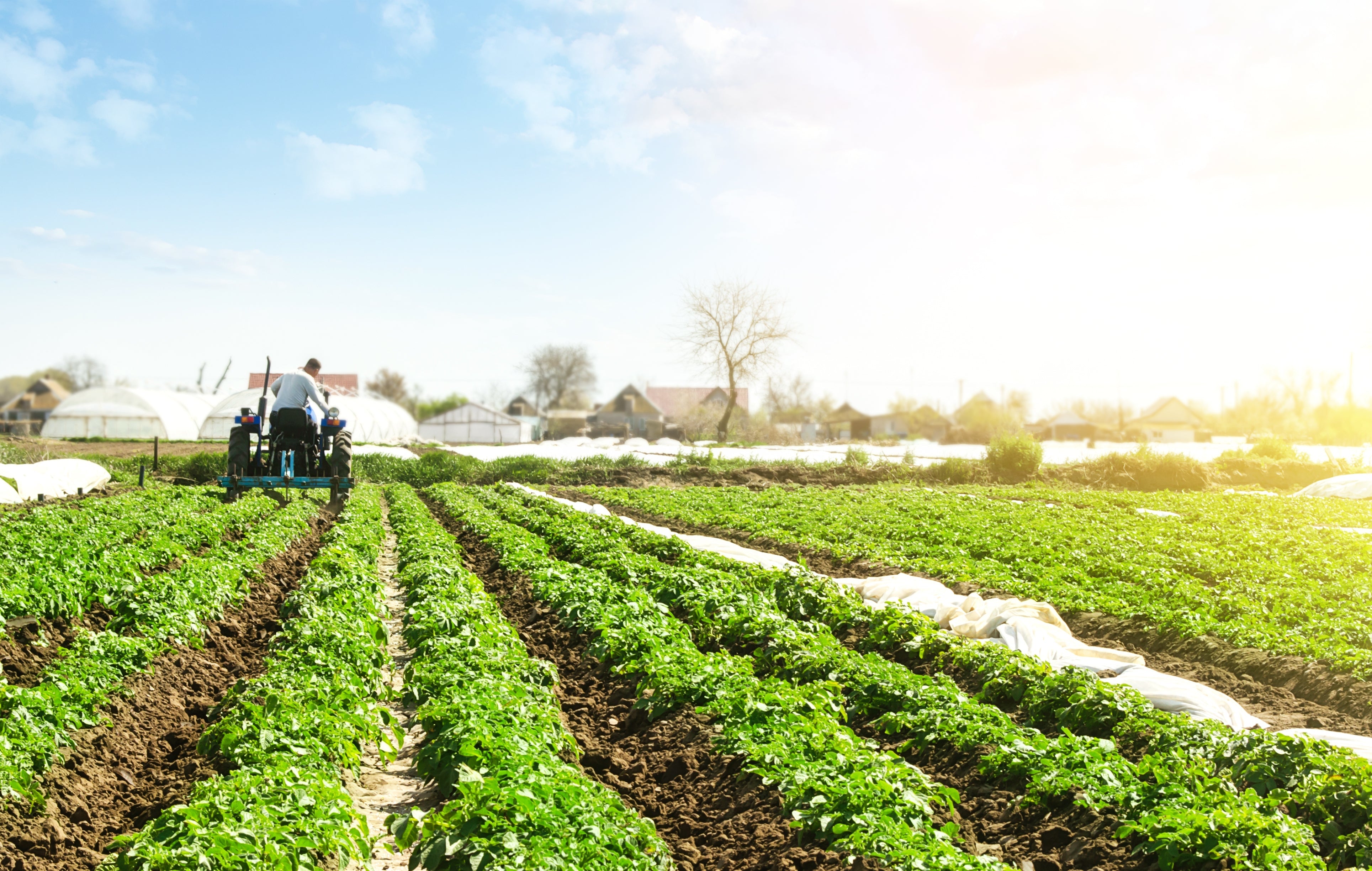 Agribusiness